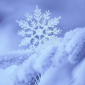 JXX免费观看视频在线播放
