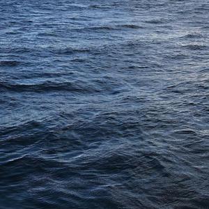 JXX免费观看视频在线播放
